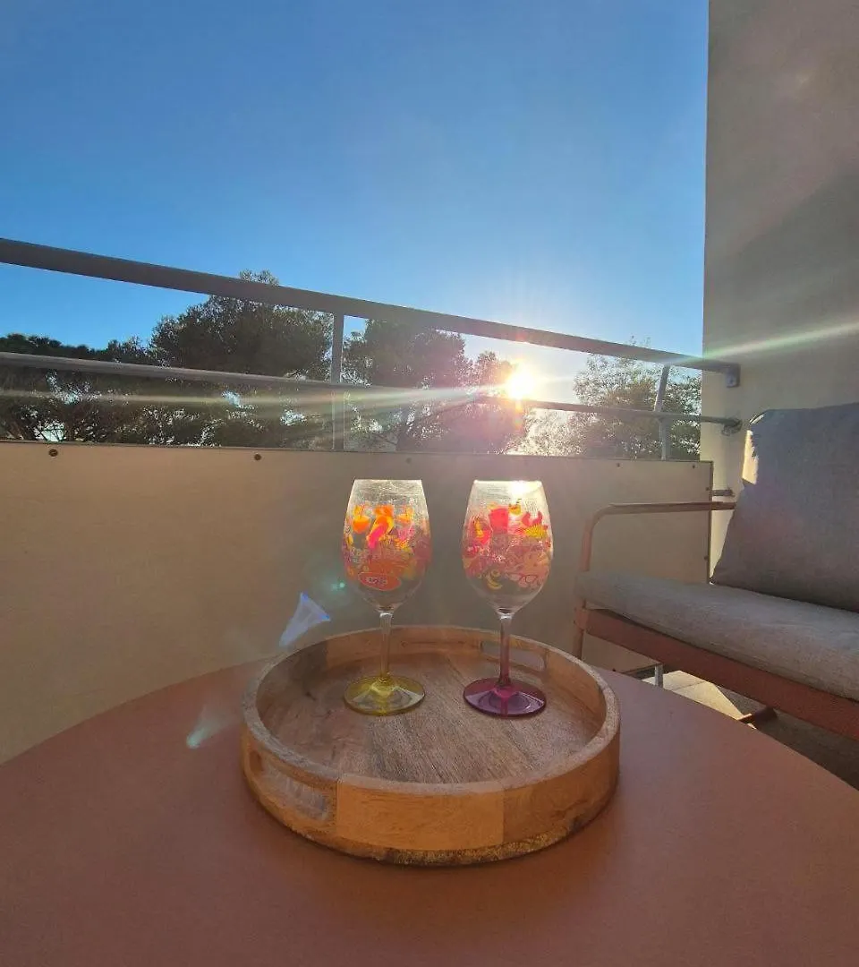 Appart Hotel French Riviera Apartment