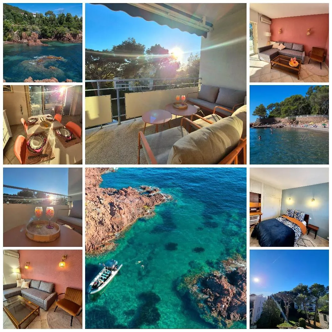 Appart Hotel French Riviera location